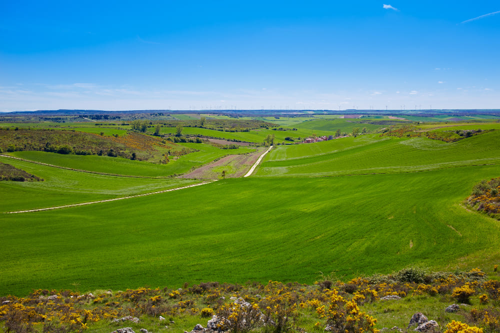 Sierra de Atapuerca